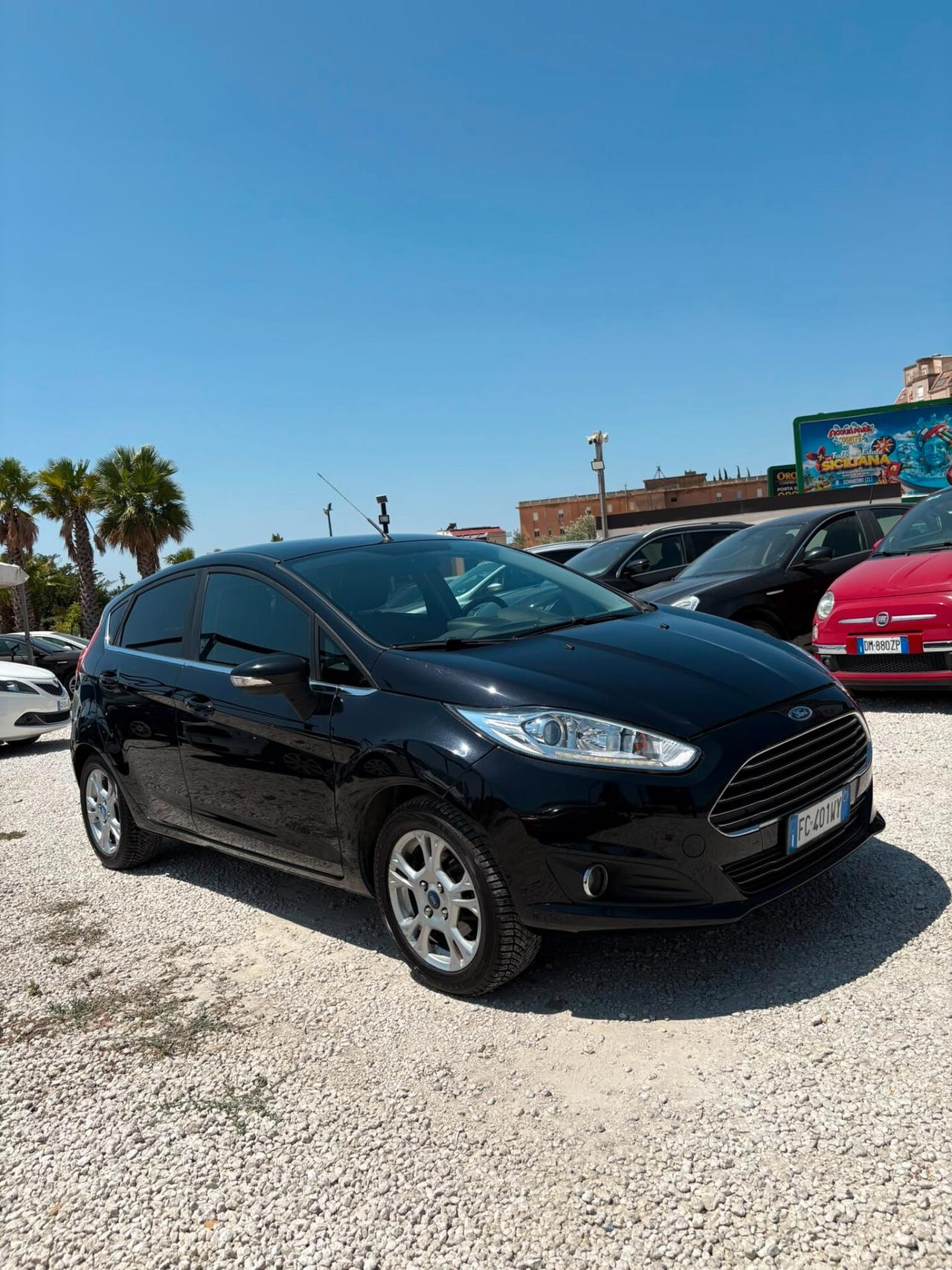 Ford Fiesta 1.5 TDCi 75CV 5 porte Black & White Edition