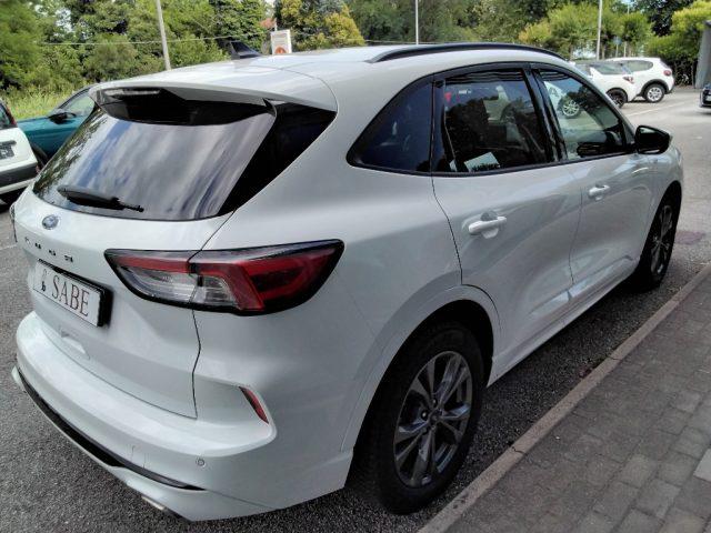 FORD Kuga 1.5 EcoBlue 120 CV 2WD ST-Line