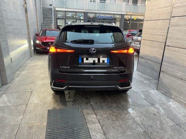 LEXUS NX 300h Hybrid 4WD Business