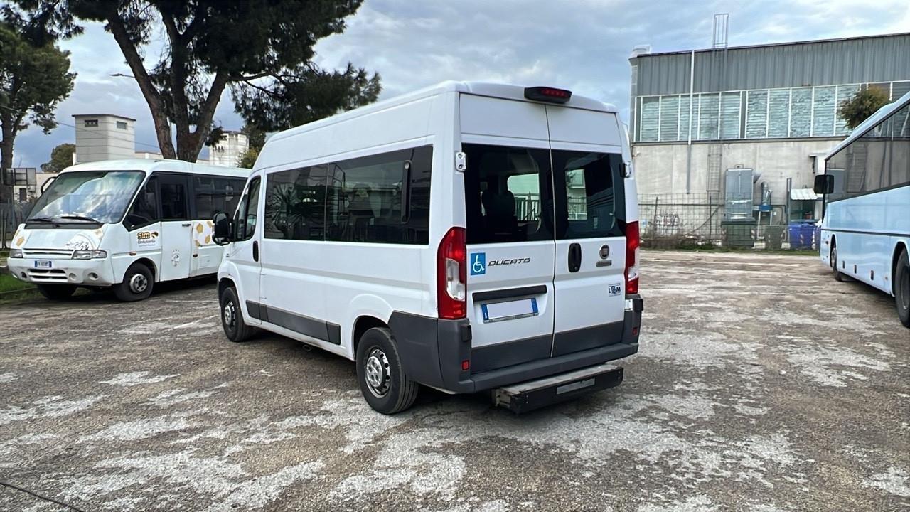Minibus 9 posti per disabili usato Fiat Ducato 290