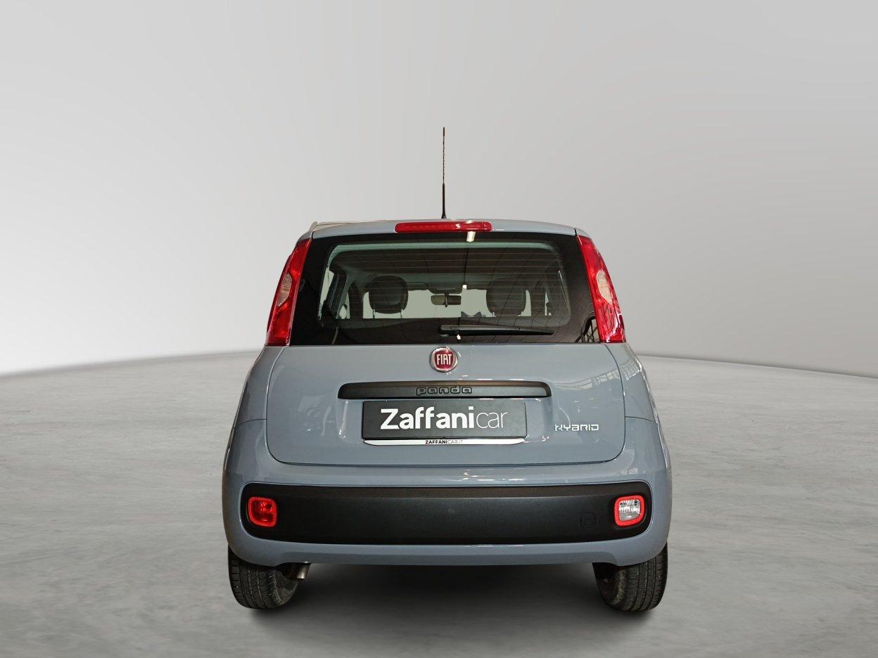FIAT Panda 3ª serie - Panda 1.0 FireFly S&S Hybrid