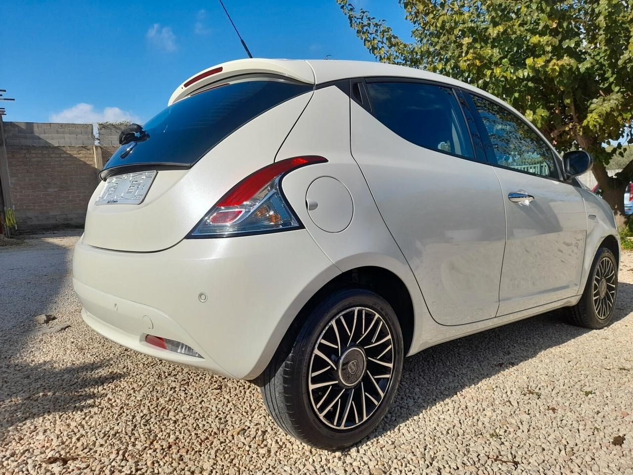 Lancia Ypsilon 1.2 69 CV Gold 2019 neopatentati ok