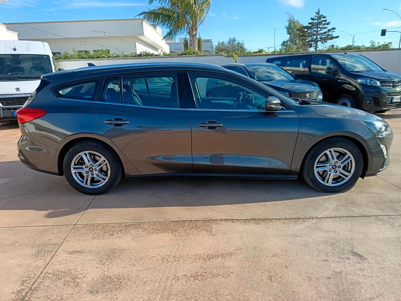 Ford Focus 1.5 EcoBlue 120 CV automatico SW Business Co-Pilot