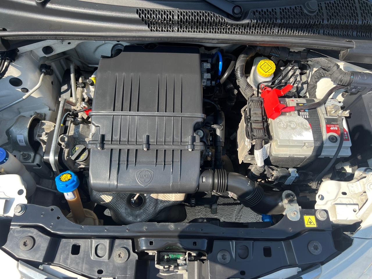 Lancia Ypsilon 1.2 69 CV 5 porte Platinum