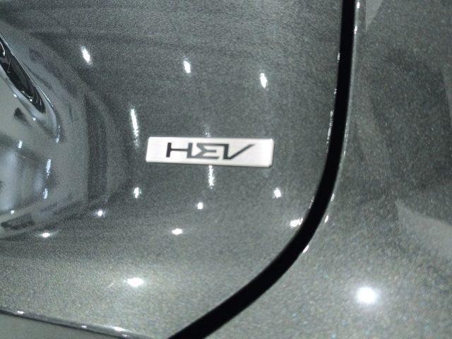 KIA Niro 1.6 GDi DCT HEV Style