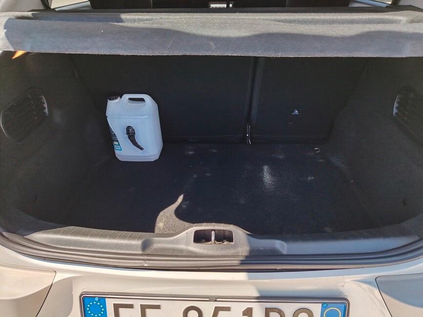 Citroen C4 Cactus BlueHDi 100 Shine