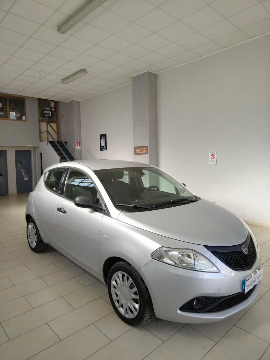 Lancia Ypsilon 1.2 69 CV 5 porte Elefantino FINANZIABILE