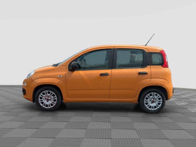 FIAT Panda Panda 1.0 FireFly Hybrid