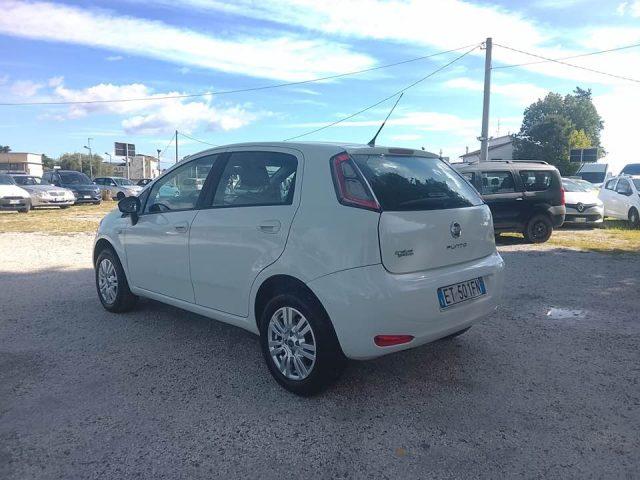 FIAT Punto 1.4 8V 5 porte Natural Power Lounge
