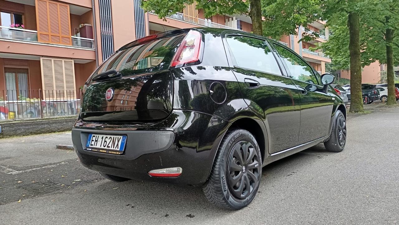 Fiat Punto Evo Punto Evo 1.2 5 porte S&S MyLife