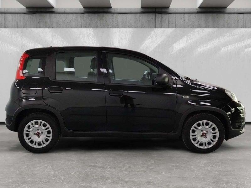 FIAT Panda 1.0 firefly hybrid s&s 70cv