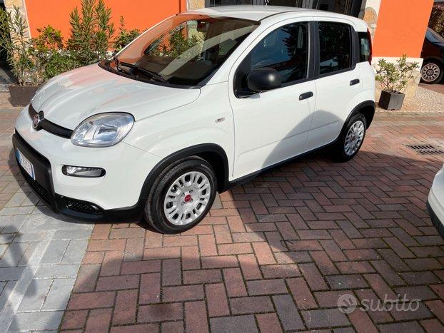 Fiat Panda 1.0 FireFly S&S Hybrid GARANZIA FIAT