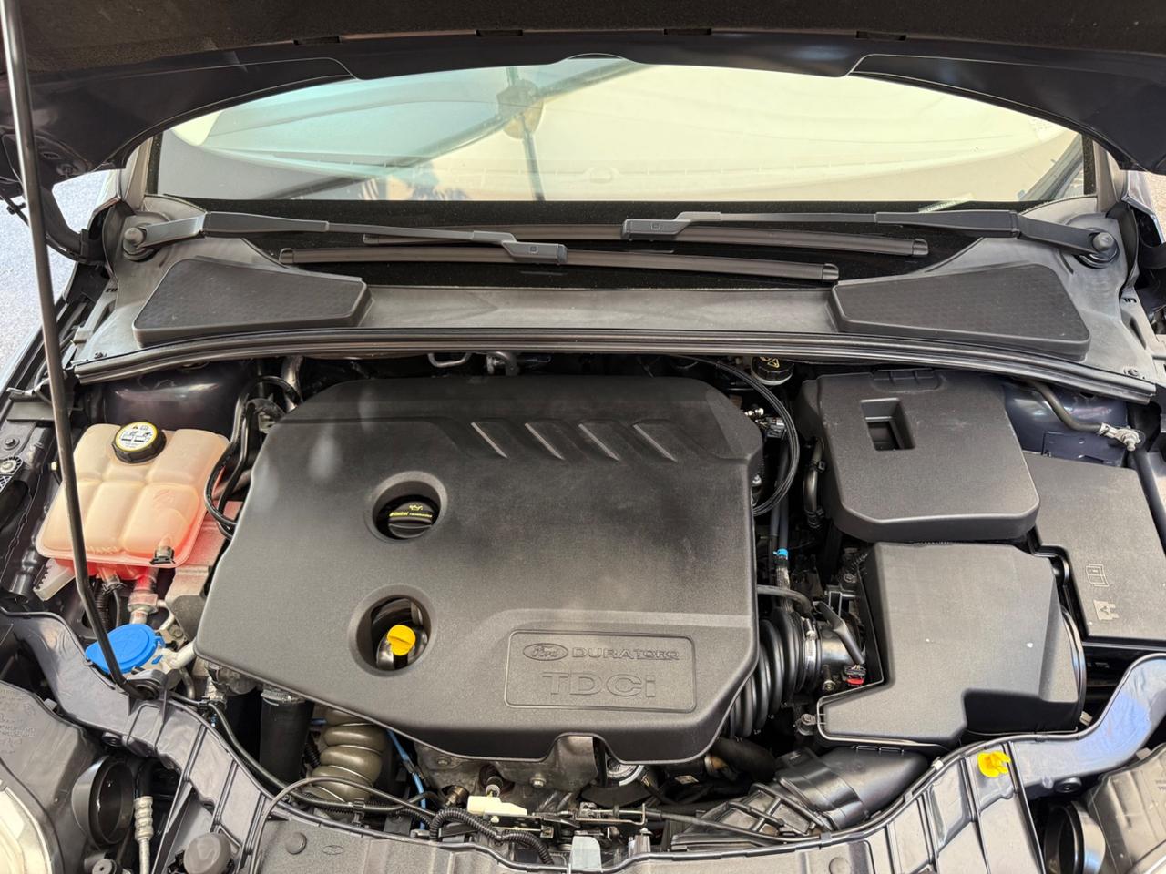 Ford Focus 1.6 TDCi 95 CV Station Wagon
