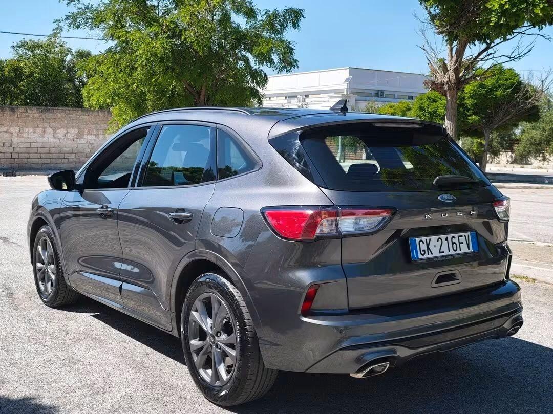 Ford Kuga 1.5 EcoBlue 120 CV aut. 2WD ST-Line