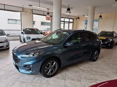 Ford Kuga 1.5 EcoBlue 120 CV 2WD ST-Line