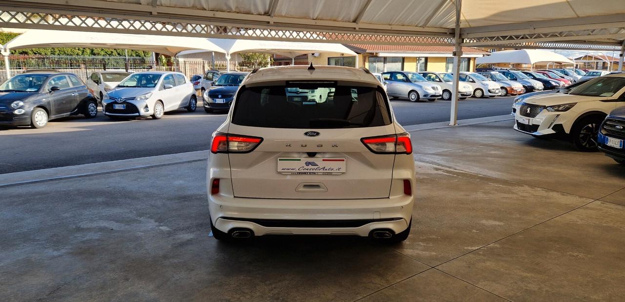 Ford Kuga 1.5 EcoBlue 120cv ST-Line X