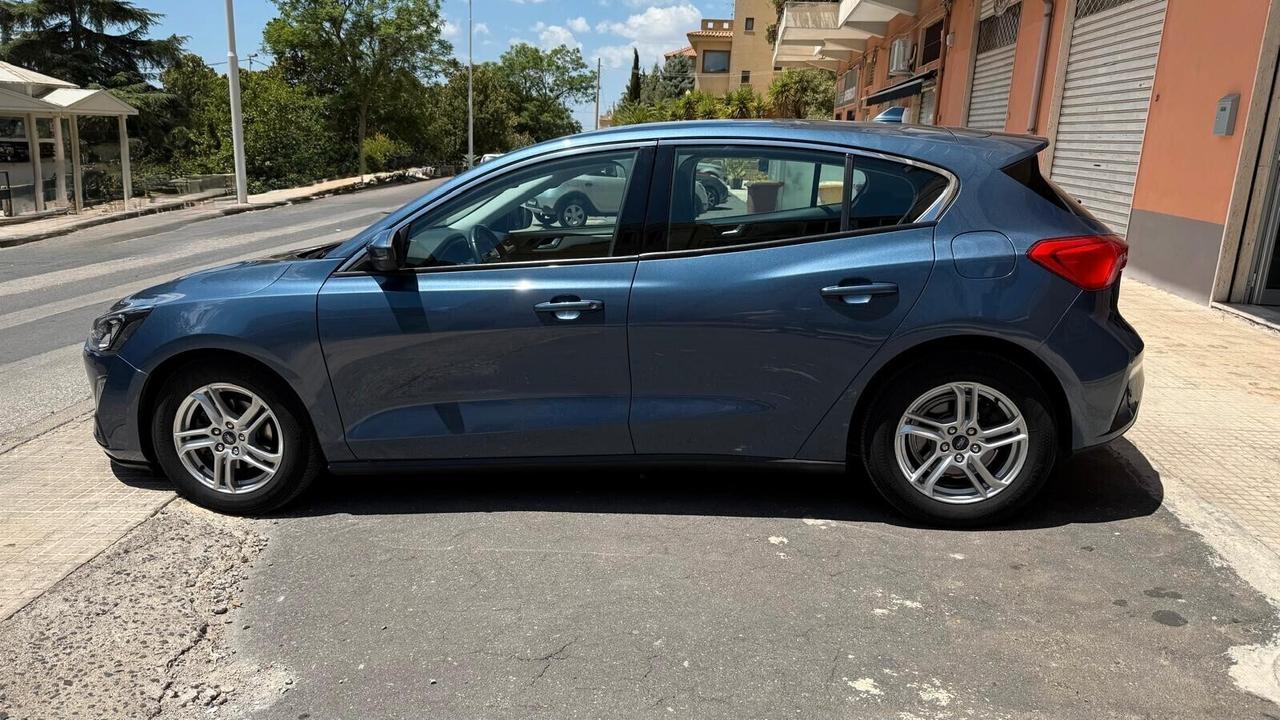 Ford Focus 1.5 EcoBlue 95 CV 5p. Business