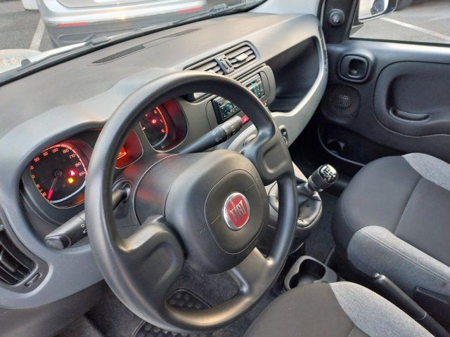 FIAT Panda 1.0 FireFly S&S Hybrid 5 posti Sedile reg altezza
