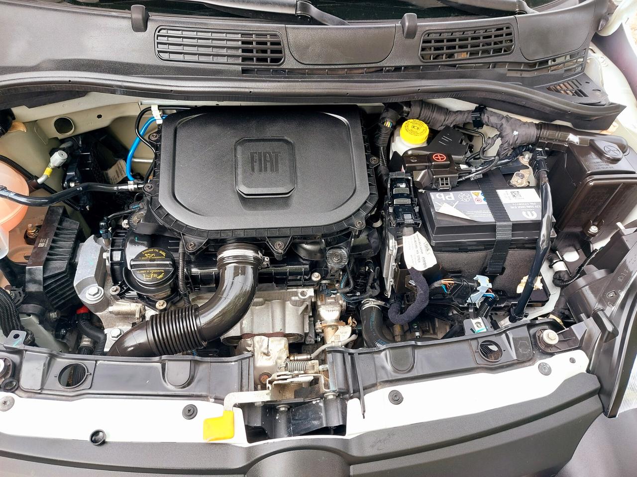 Fiat Panda 1.0 Hybrid City Cross - 18.000 Km.-2023