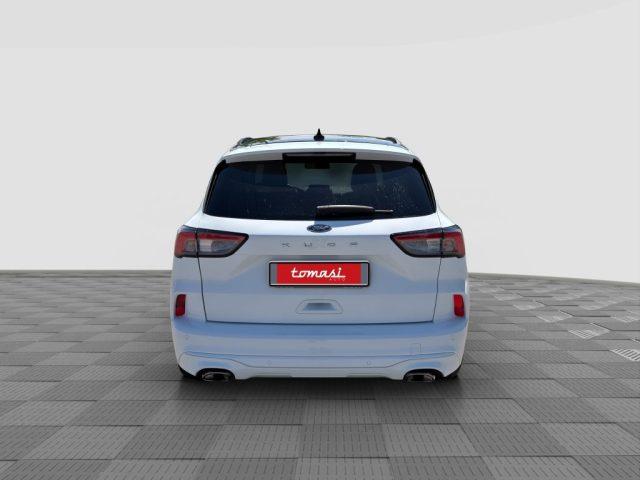 FORD Kuga Kuga 1.5 EcoBlue 120 CV aut. 2WD ST-Line