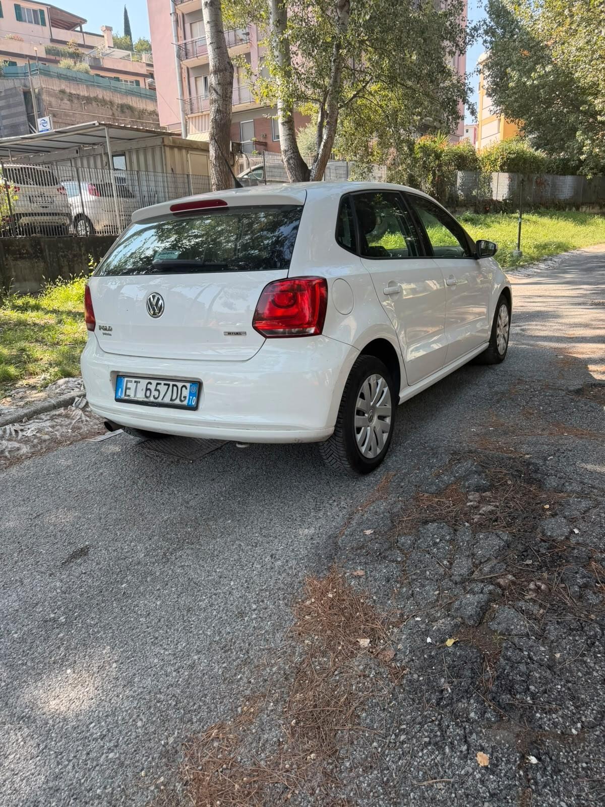 Volkswagen Polo 1.6 5 porte Highline BiFuel