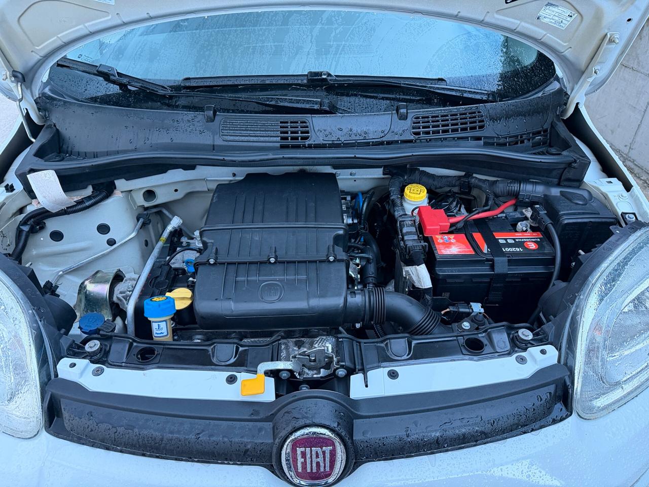 Fiat New Panda 1.2 cv 70 Lounge. Euro 6B