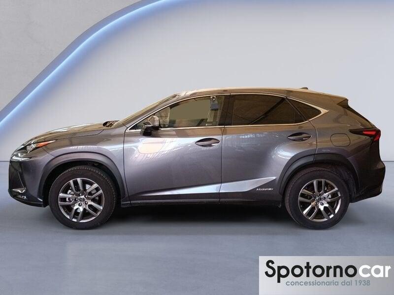 Lexus NX NX Hybrid Business