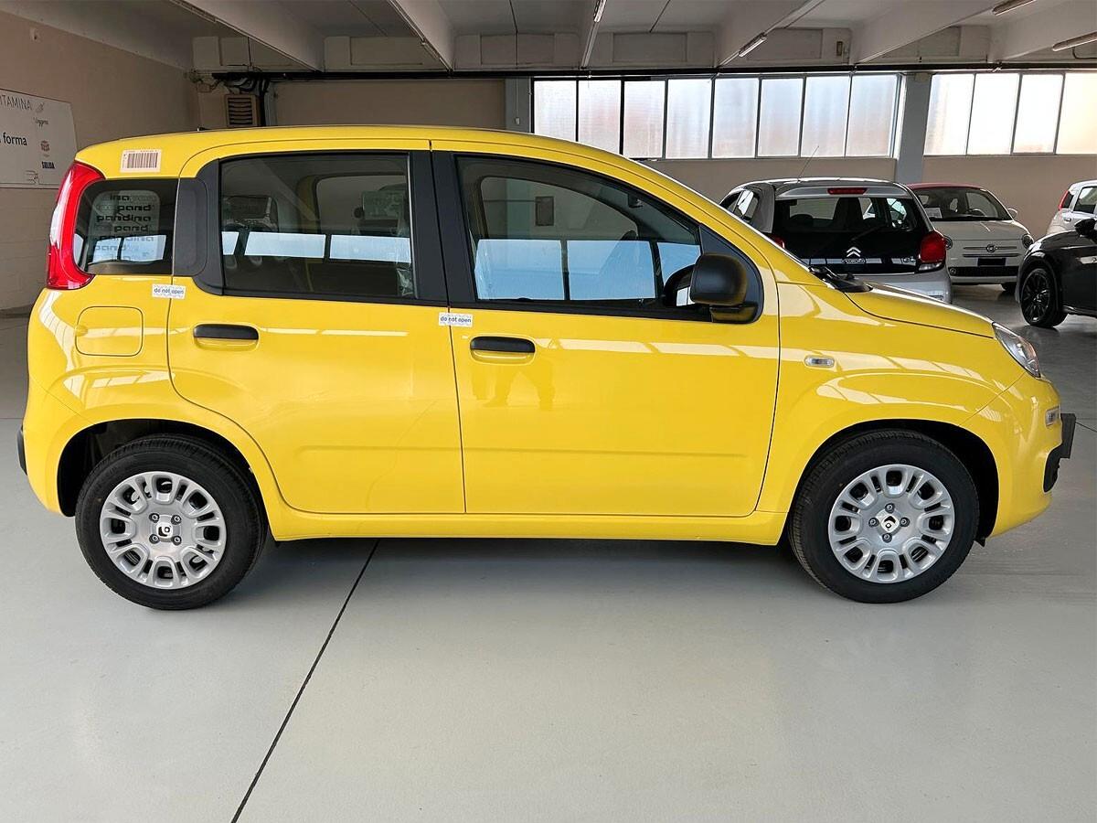 Fiat Panda Pandina 1.0 FireFly 65 CV Hybrid Icon