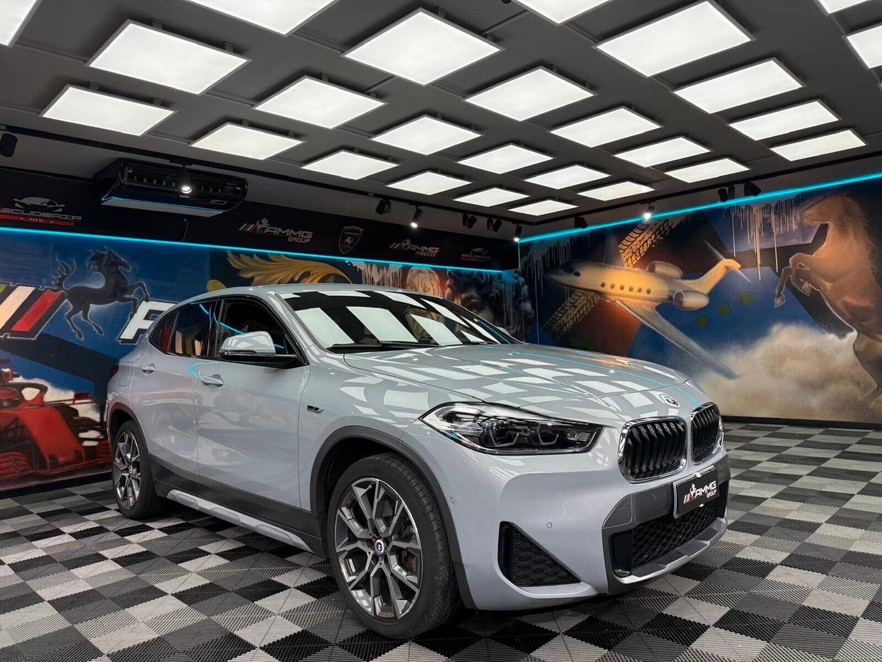 Bmw X2 xDrive25e Business-X (339)