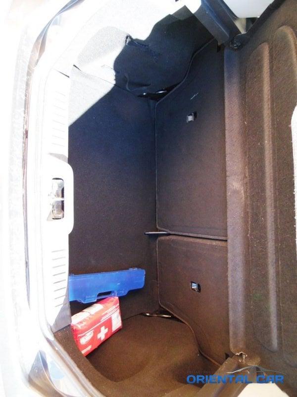 Ford Fiesta 1.5 TDCi 75CV Titanium in ottime condizioni