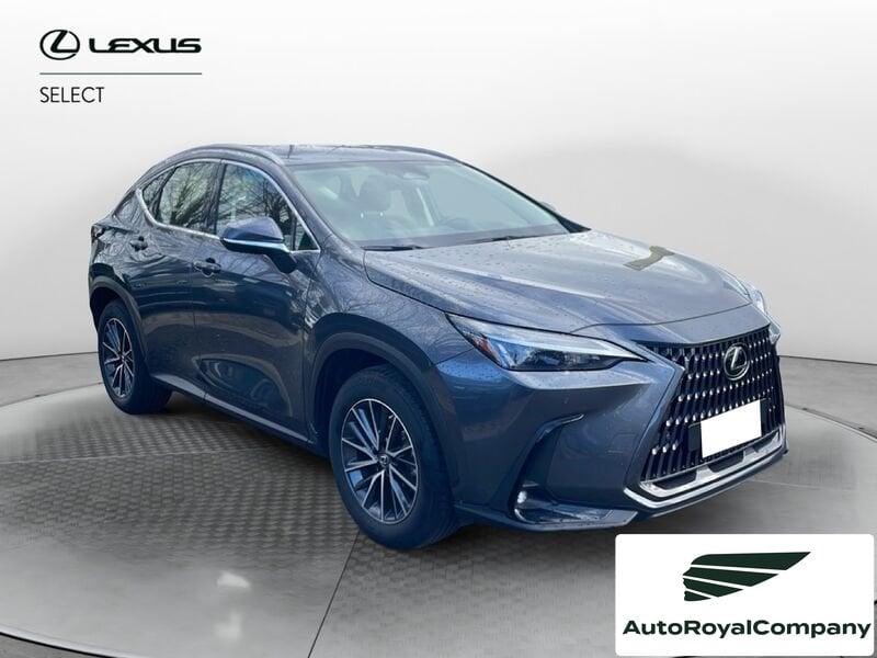 Lexus NX Hybrid Business+ 4WD IVA ESPOSTA KM 13900