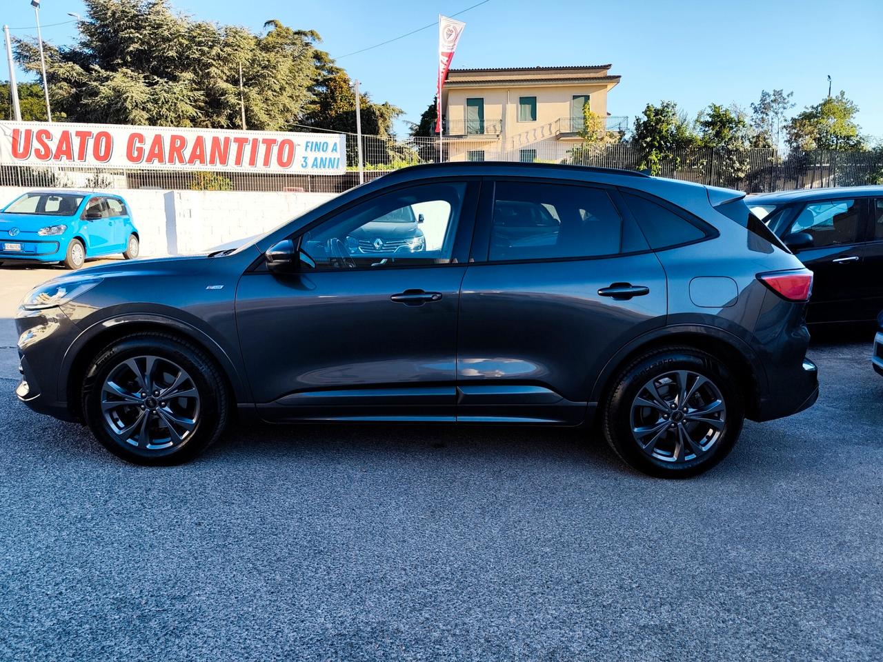 Ford Kuga 2.0 EcoBlue Hybrid 150 CV 2WD ST-Line