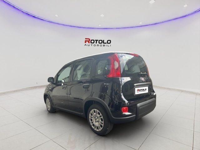 FIAT Panda ADAS ICON Hybrid SENZA FINANZIAMENTO