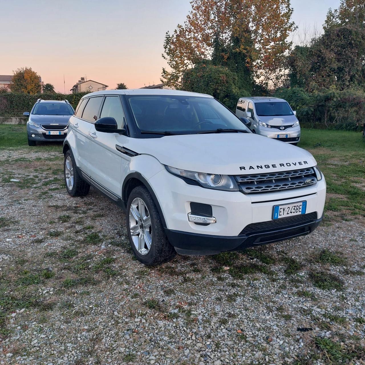 Land Rover Range Evoque 2.2 TD4 5p. Dynamic