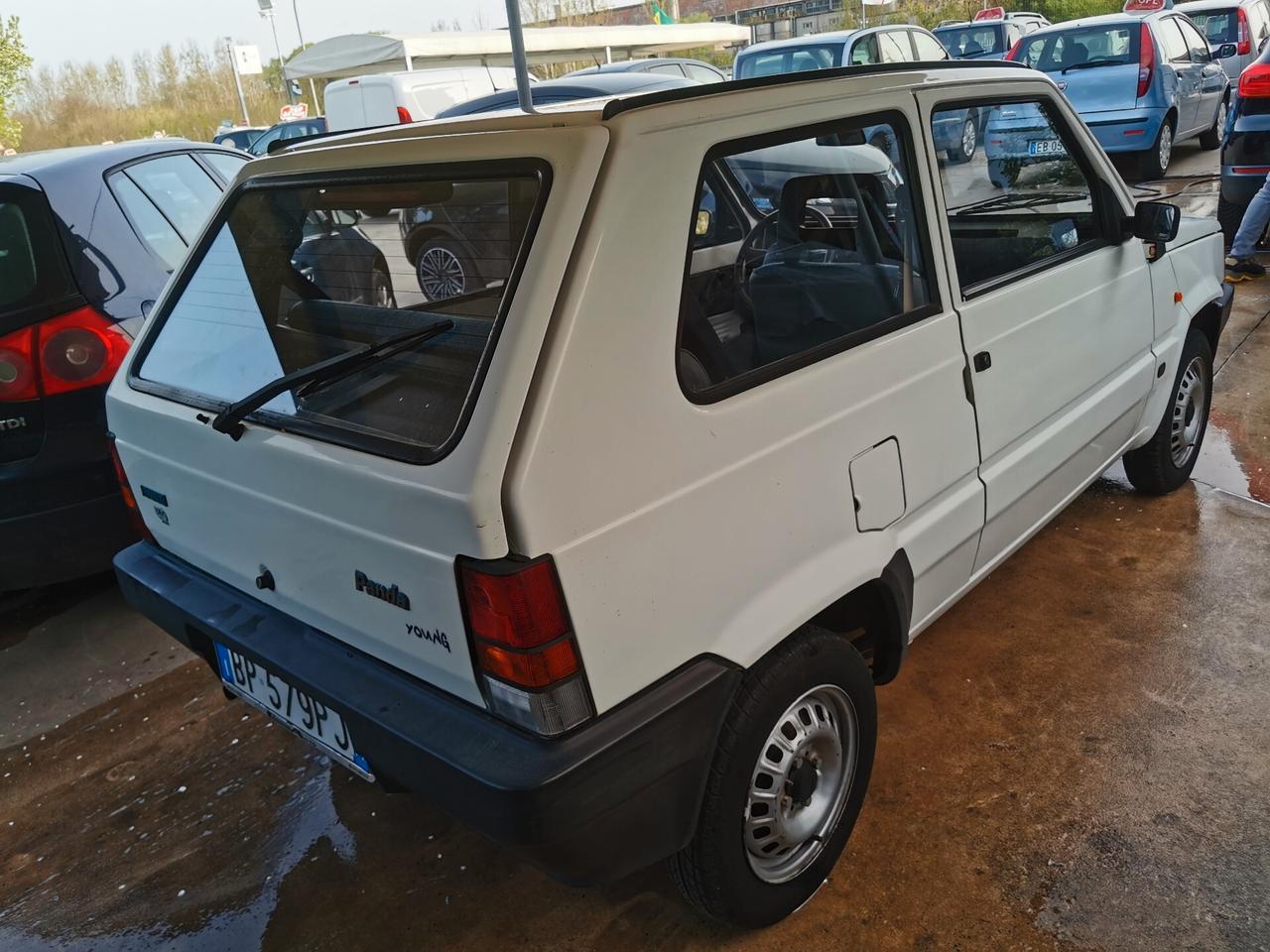 Fiat Panda 1100 i.e. cat Young