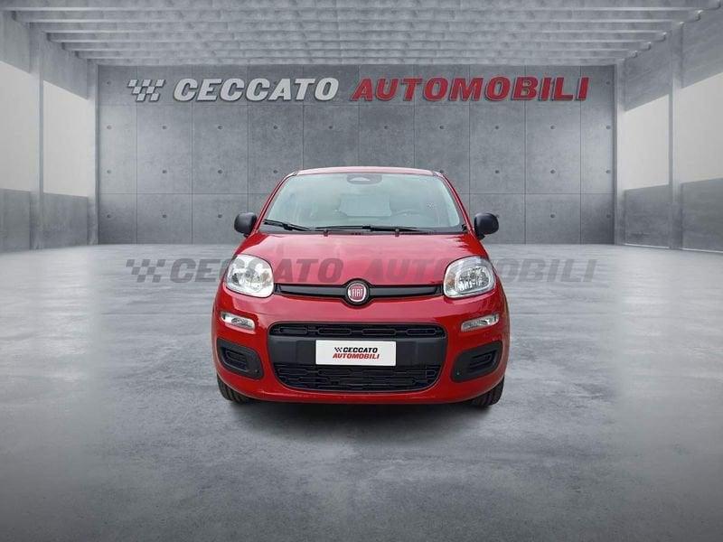 FIAT Panda Panda 1.0 firefly hybrid s&s 70cv