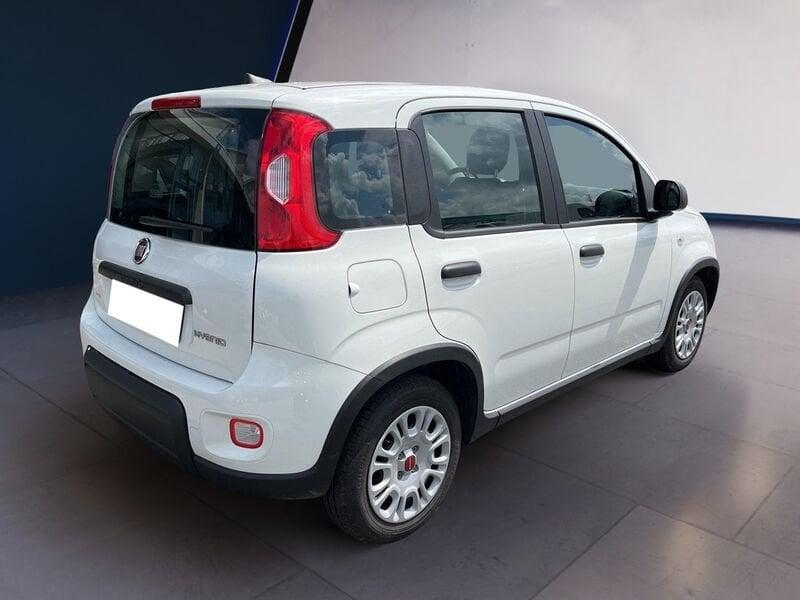 FIAT Panda My23 1.0 70cv Hybrid Panda