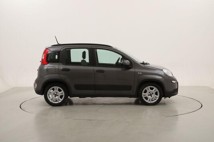 Fiat Panda Hybrid City Life BR763636 1.0 Mild Hybrid 70CV