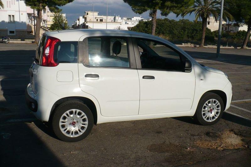 FIAT Panda Panda 1.2 Easy