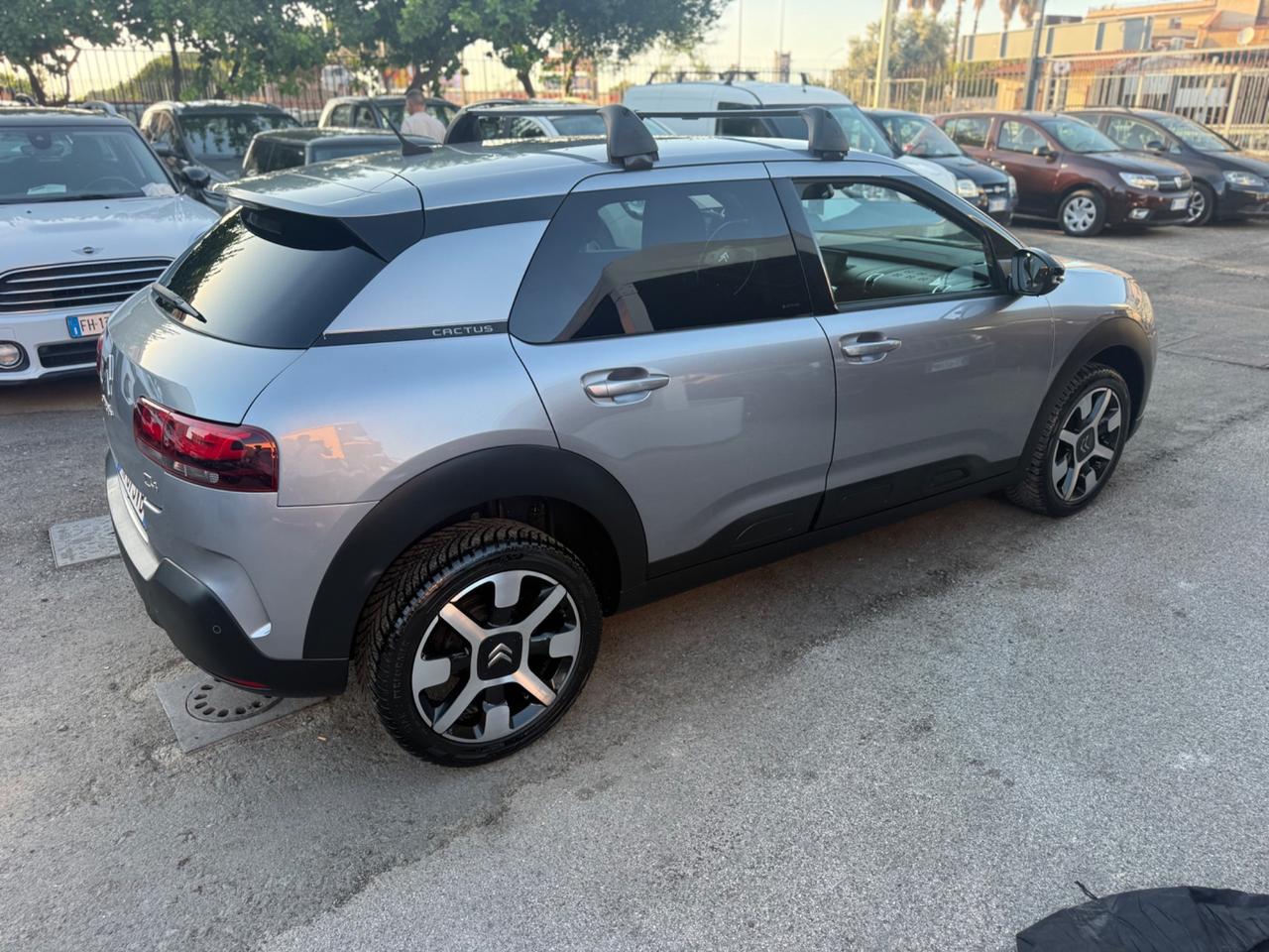 Citroen C4 Cactus BlueHDi 100 Shine Perfetta