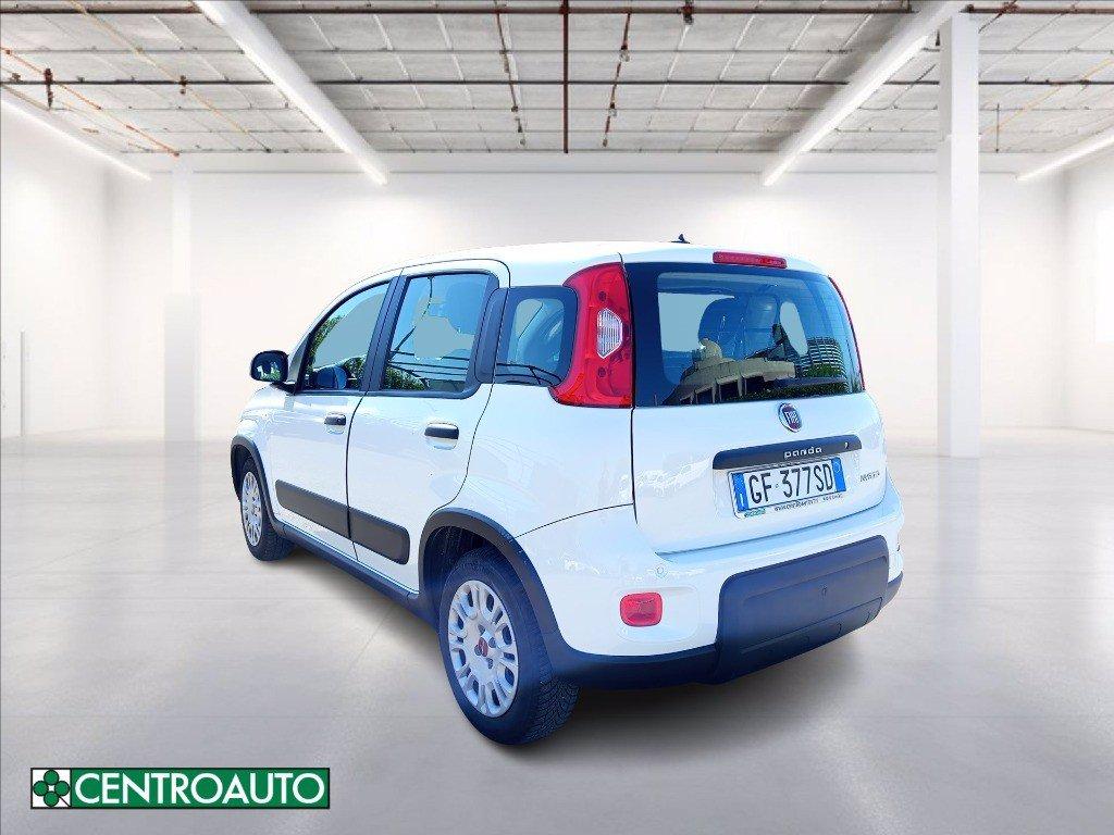 FIAT Panda van 1.0 hybrid Street 70cv 4p.ti serie 4 E6d del 2021
