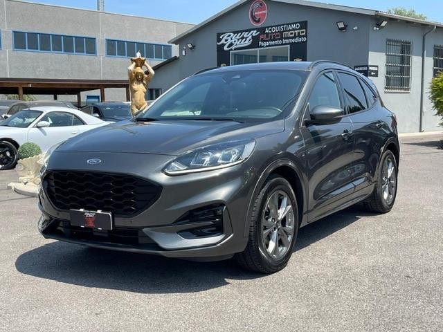 Ford Kuga 1.5 EcoBlue 120 CV 2WD ST-Line X