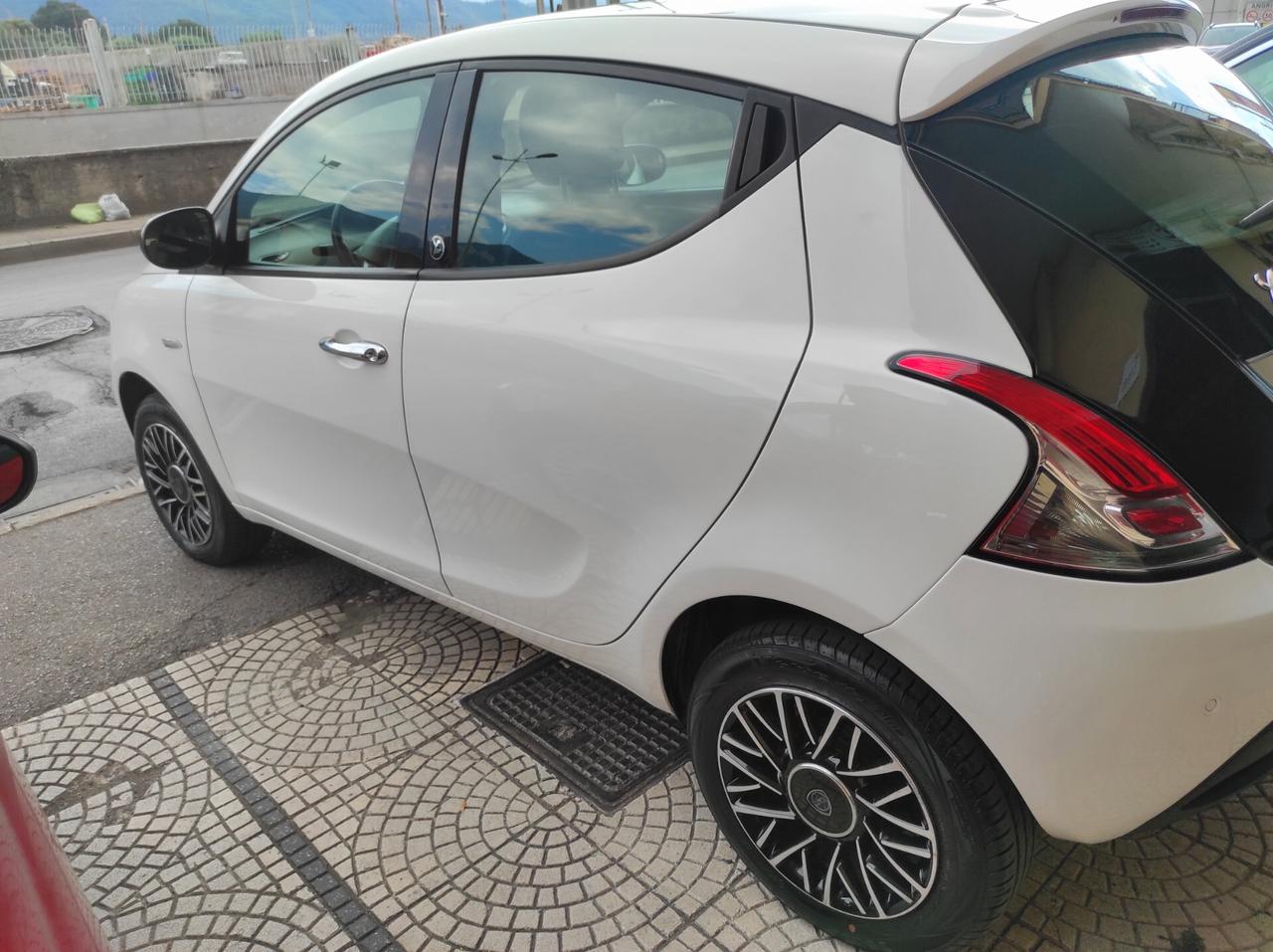 Lancia Ypsilon 2016 0.9 TwinAir Benzina metano LEGA SENSORI BLUETOOTH