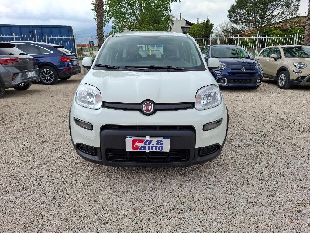 FIAT PANDA 1.0 FIREFLY 70CV CITY LIFE HYBRID-2024