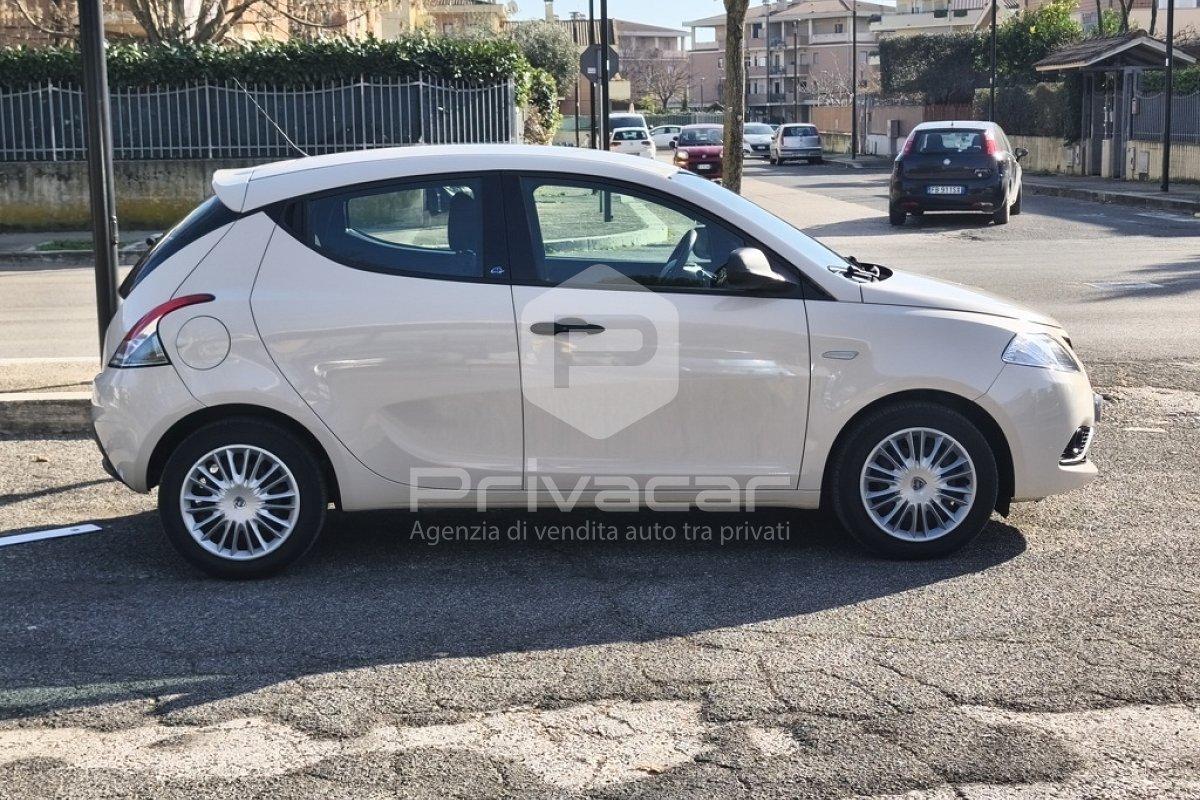 LANCIA Ypsilon 1.2 69 CV 5 porte Elefantino
