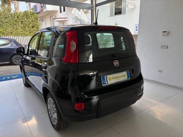 FIAT Panda 1.0 FireFly S&S Hybrid Pandina da ?139,00 mensili
