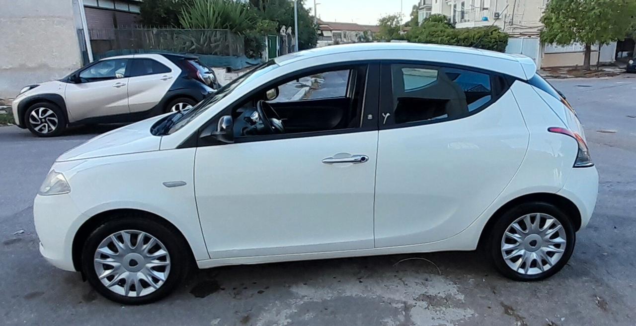 Lancia Ypsilon 1.3 MJT 16V 95 CV 5 porte S&S Platinum