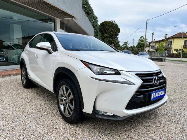 LEXUS NX 300 Hybrid 4WD EXECUTIVE