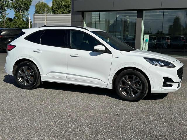 FORD Kuga 1.5 EcoBlue 120 CV aut. 2WD ST-Line X