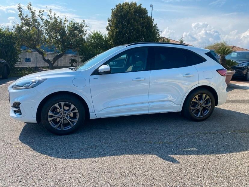 Ford Kuga 2.5 Plug In Hybrid 225 CV CVT 2WD ST-Line X